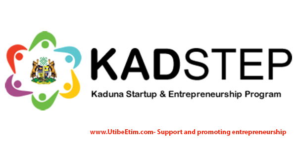 Apply For The Kaduna Startup & Entrepreneurship Program 2016